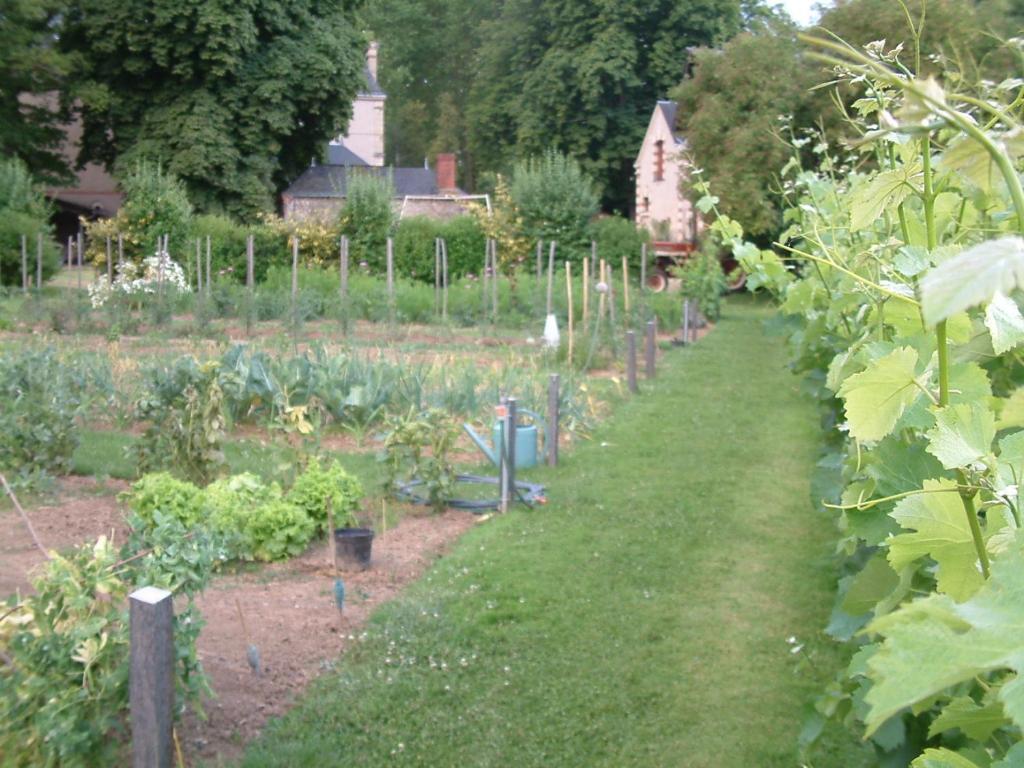 Chateau Du Beugnon Bed & Breakfast Tigné Eksteriør bilde
