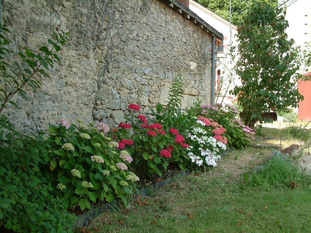 Chateau Du Beugnon Bed & Breakfast Tigné Eksteriør bilde